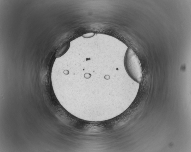 X0000116640597201001251137