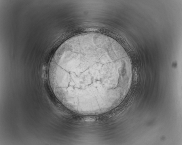 X0000116640598201001251137