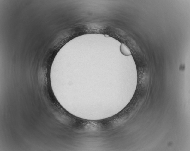 X0000116640599201001251137