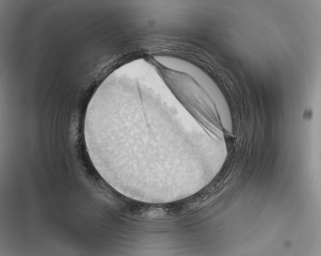 X0000116640600201001251137