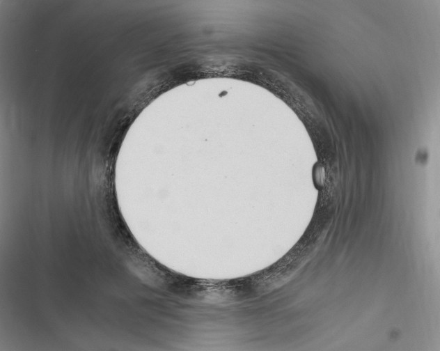 X0000116640601201001251137