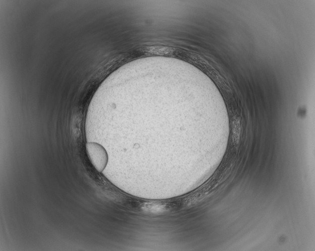 X0000116640602201001251137