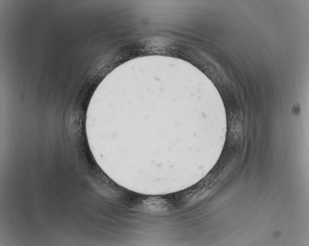 X0000116640603201001251137