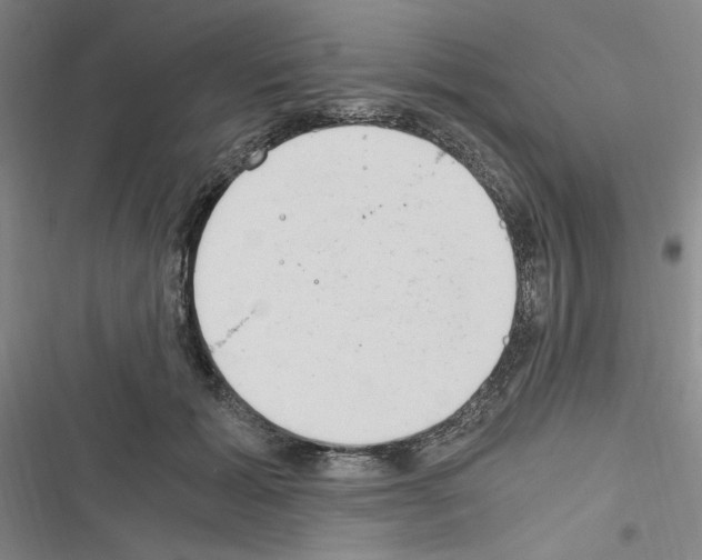 X0000116640605201001251137