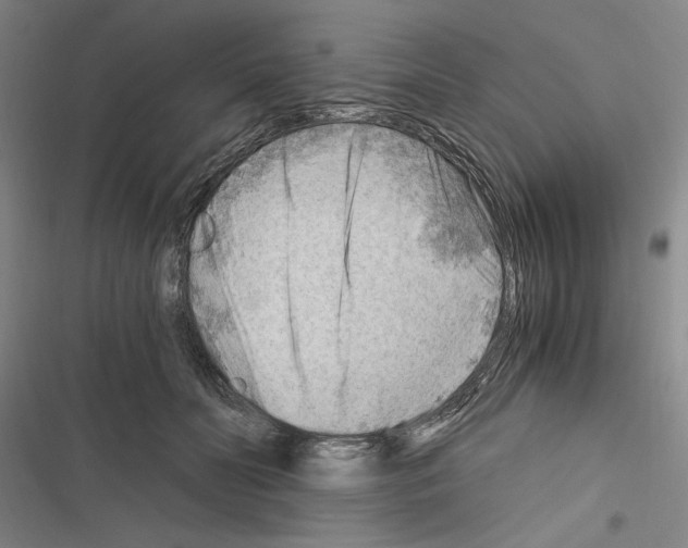 X0000116640606201001251137