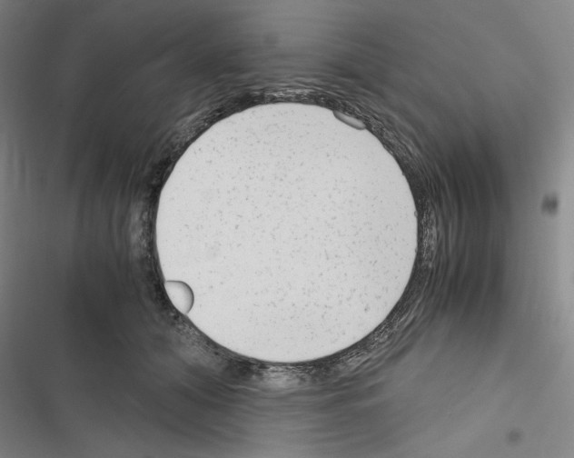 X0000116640608201001251137