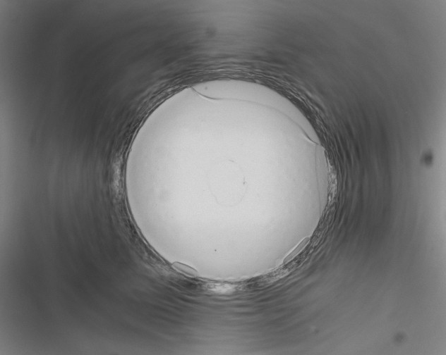 X0000116640611201001251137