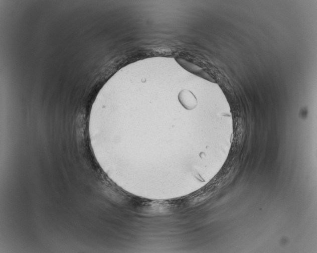 X0000116640612201001251137