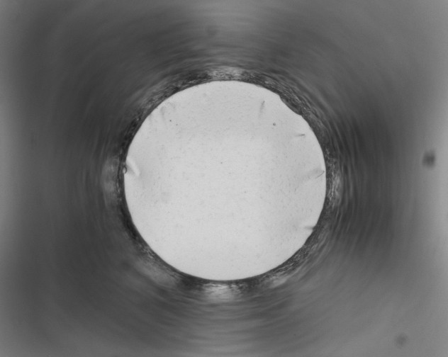 X0000116640616201001251137