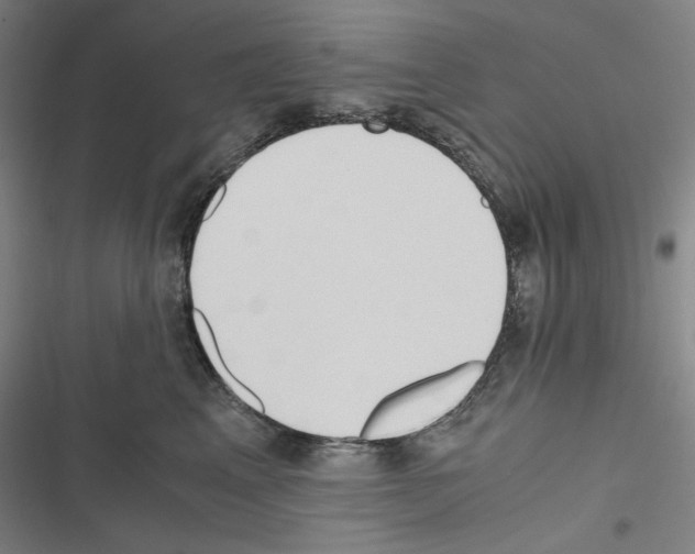 X0000116640617201001251137