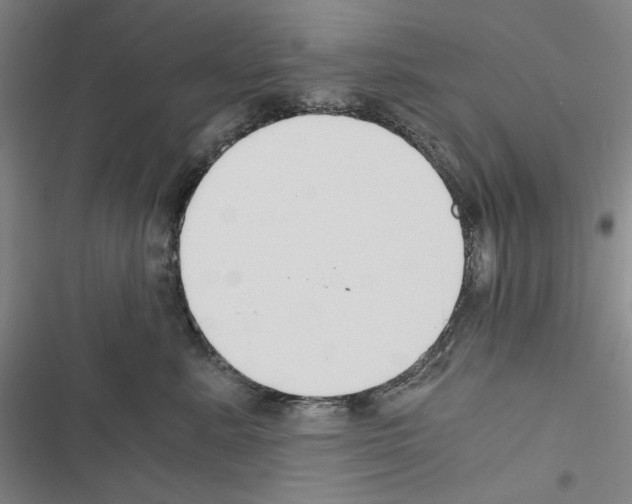 X0000116640619201001251137