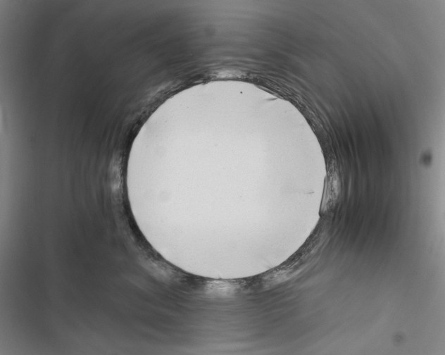 X0000116640620201001251137