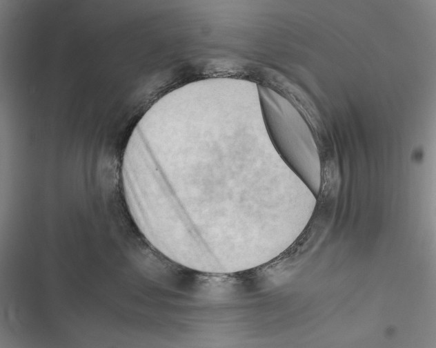 X0000116640621201001251137