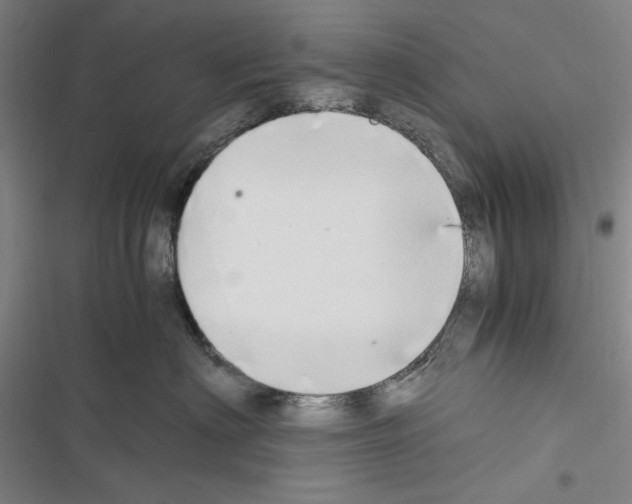 X0000116640622201001251137