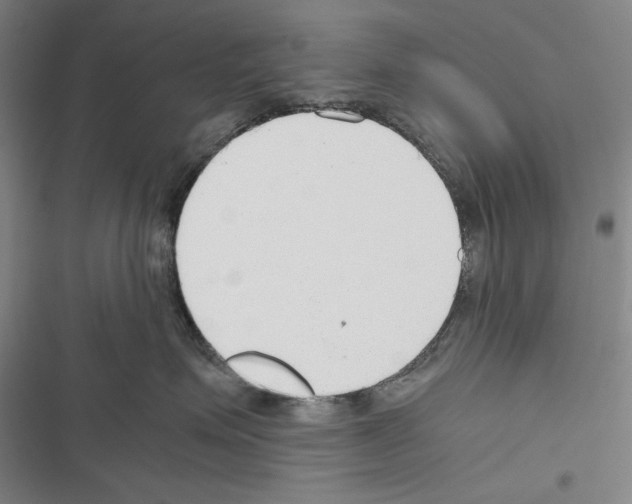 X0000116640623201001251137