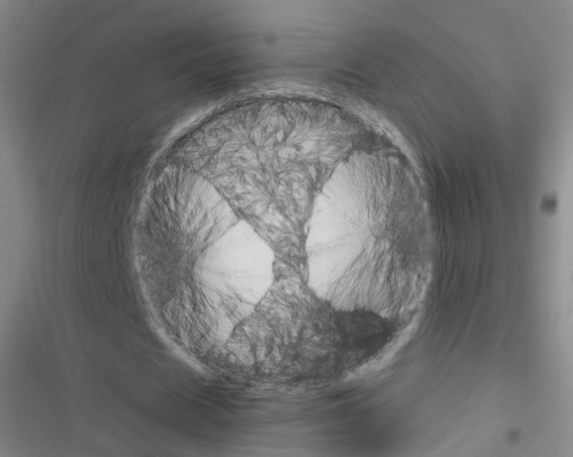 X0000116640625201001251136