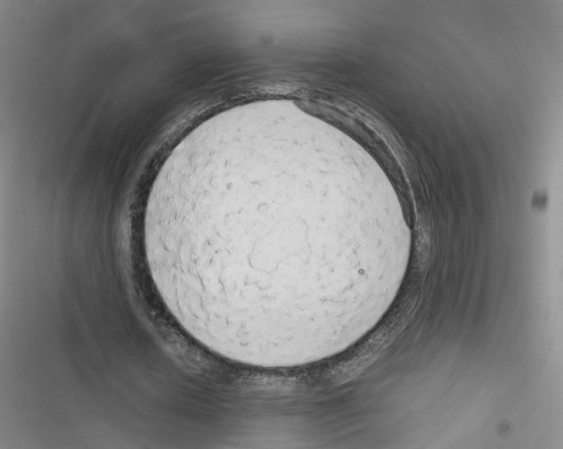 X0000116640626201001251136