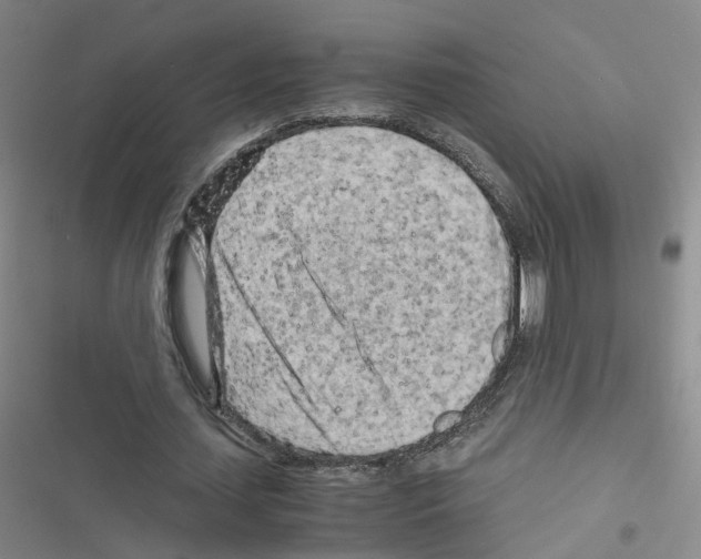 X0000116640627201001251136