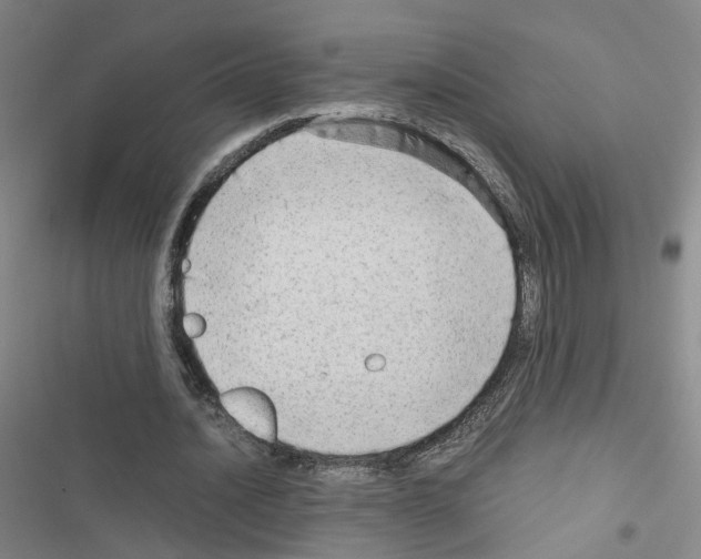 X0000116640628201001251136