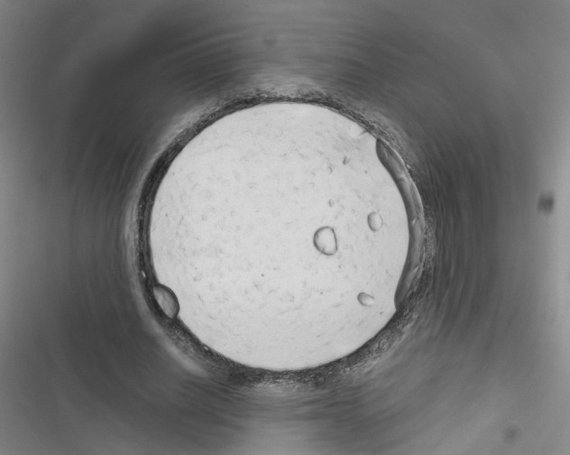 X0000116640630201001251136