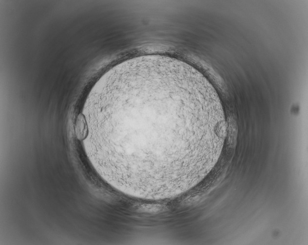 X0000116640631201001251136