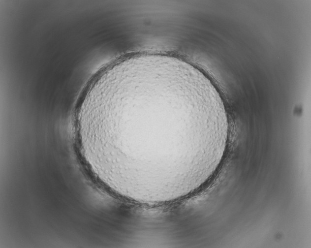 X0000116640632201001251136