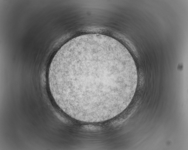 X0000116640633201001251136