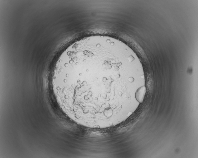 X0000116640635201001251136