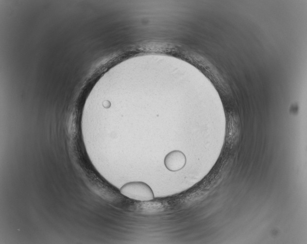 X0000116640636201001251137