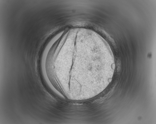 X0000116640637201001251137