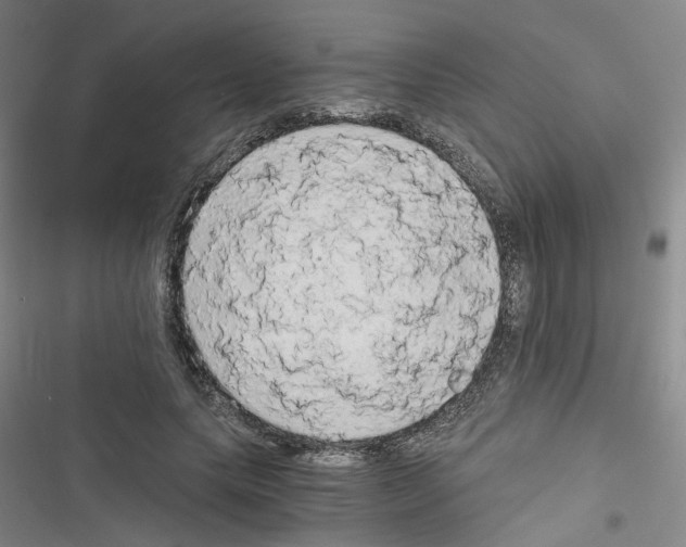 X0000116640639201001251137