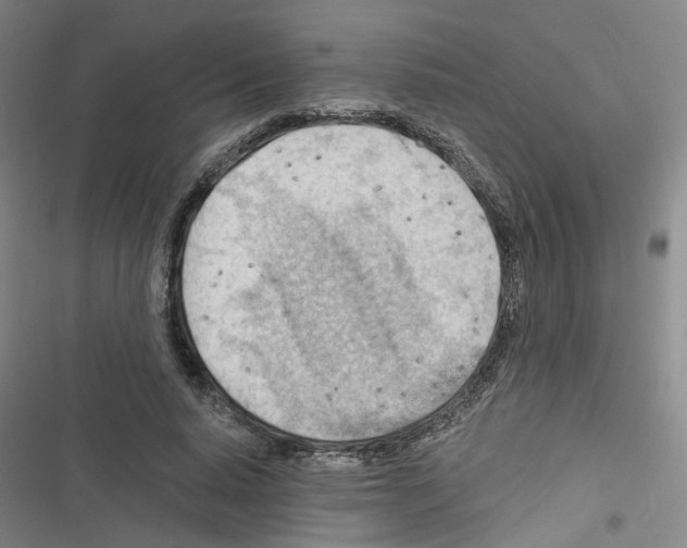 X0000116640640201001251137