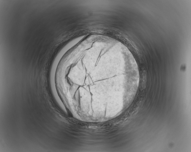 X0000116640641201001251137