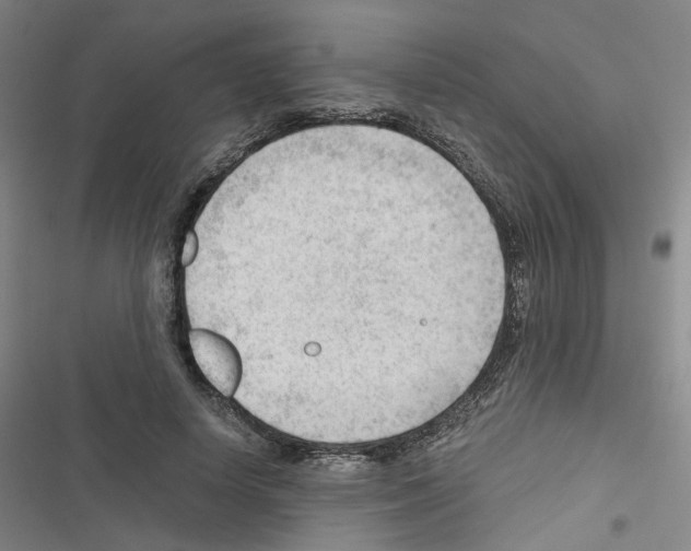 X0000116640642201001251137