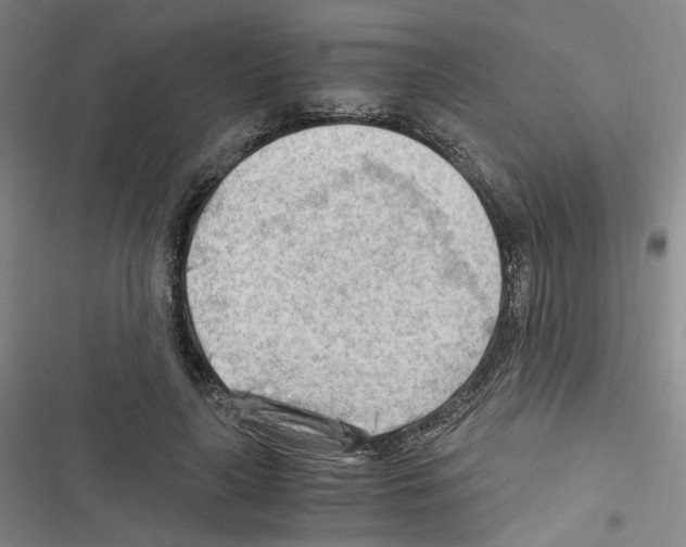 X0000116640643201001251137