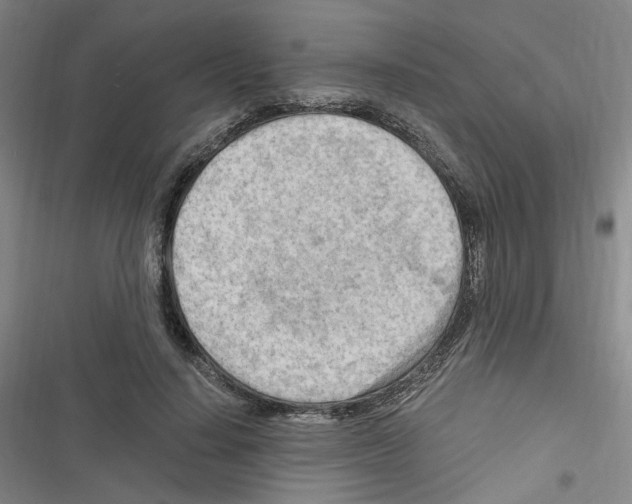 X0000116640644201001251137