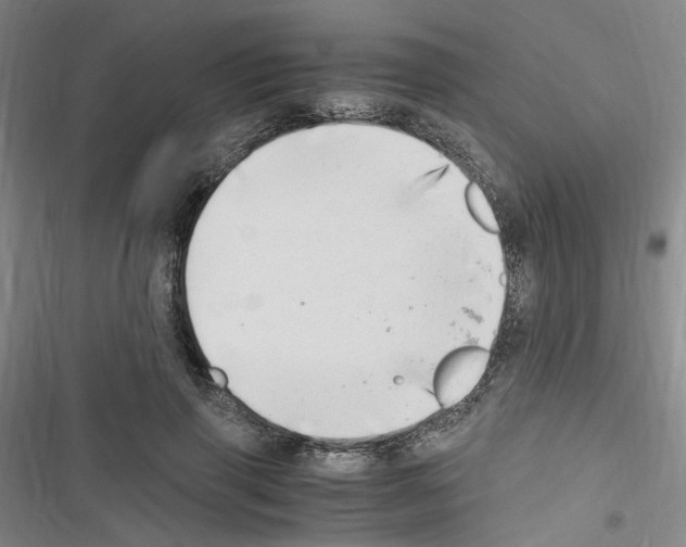 X0000116640645201001251137