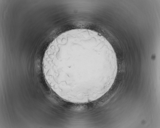 X0000116640646201001251137