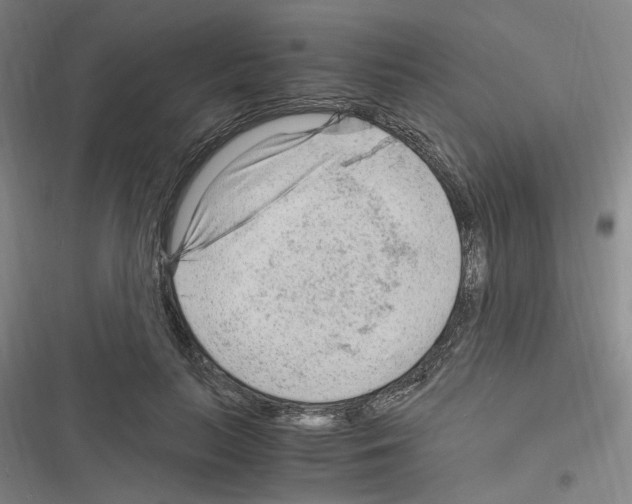 X0000116640647201001251137