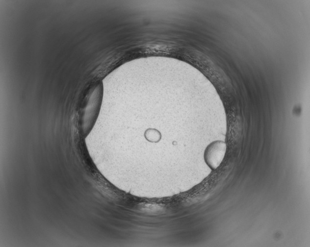 X0000116640649201001251137