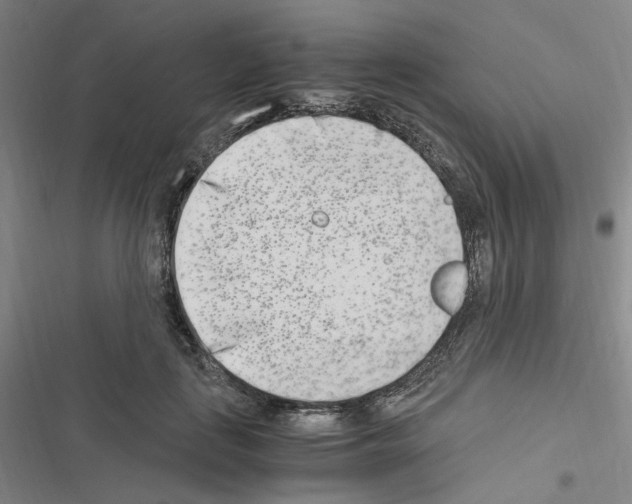 X0000116640651201001251137