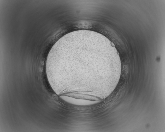 X0000116640652201001251137