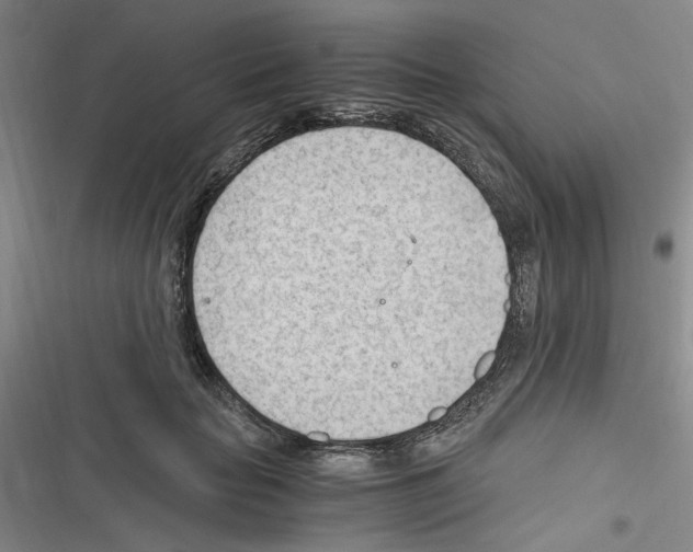 X0000116640653201001251137