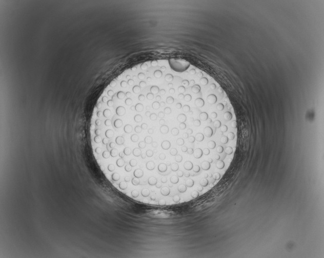 X0000116640654201001251137