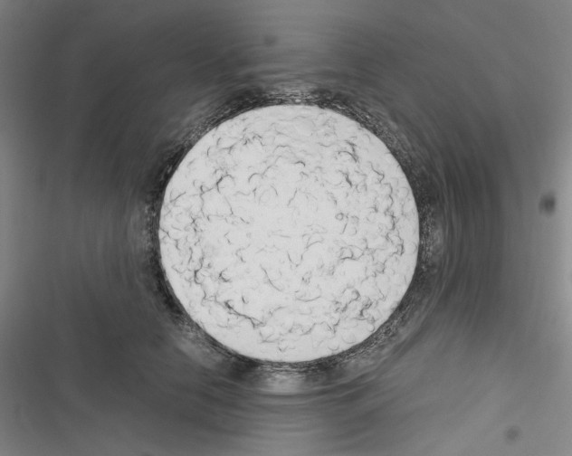 X0000116640658201001251137