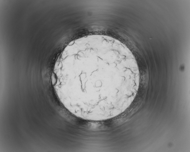 X0000116640662201001251137