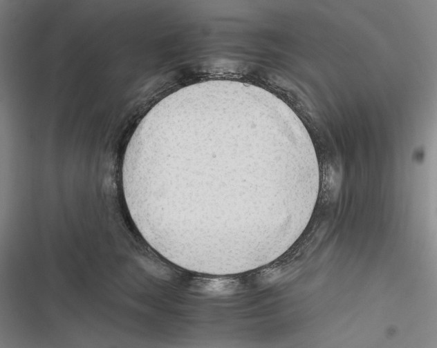 X0000116640663201001251137