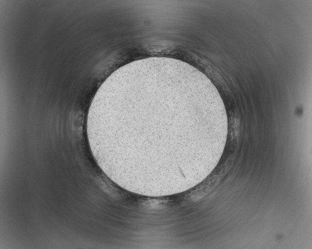 X0000116640664201001251137