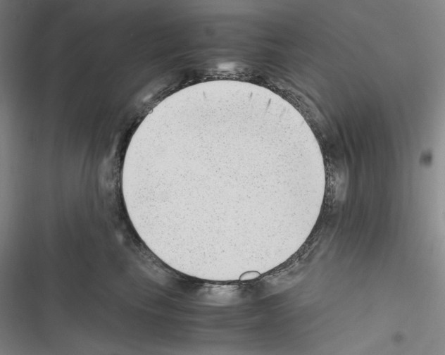 X0000116640665201001251137