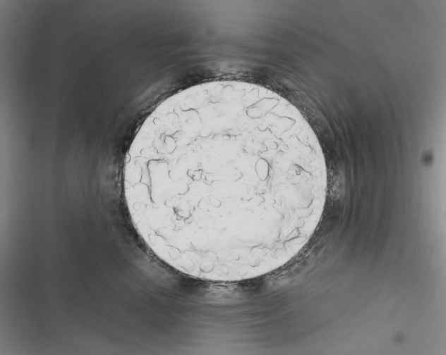 X0000116640666201001251137